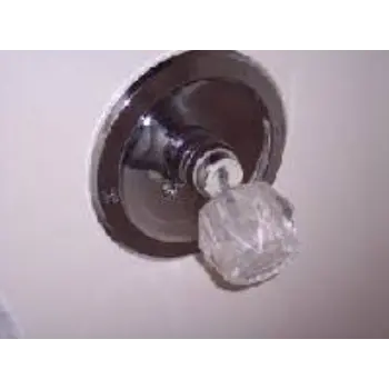 Shower Handle